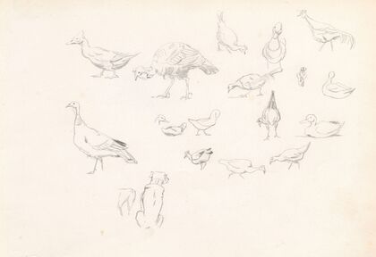 Poultry and a dog (1881)