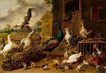Poultry Farm