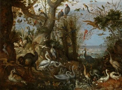 Poultry — size preview