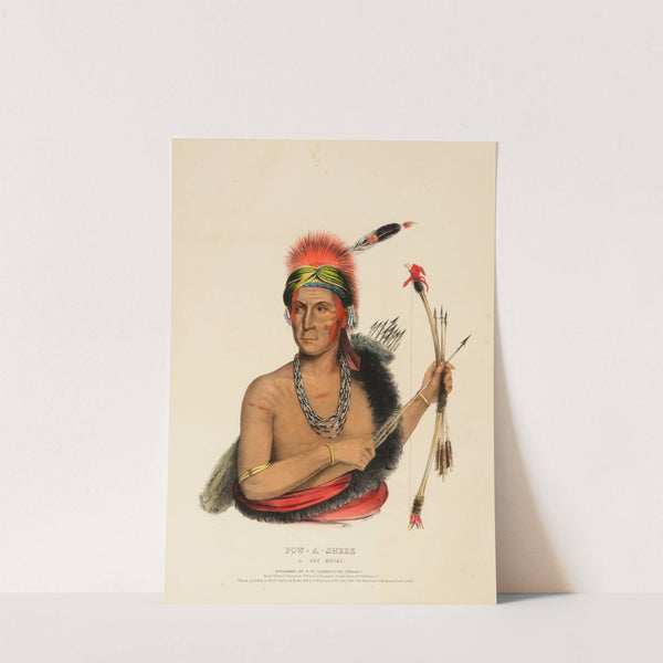 Pow-A-Sheek. A Fox Chief (1838) by Charles Bird King