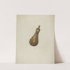 Powder Flask by Archie Thompson