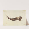 Powder Horn by Edward L. Loper