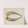 Powder Horn by Annie B. Johnston