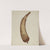 Powder Horn by William McAuley