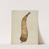Powder Horn by William McAuley