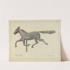 Prairie Horse Weather Vane by Salvatore Borrazzo