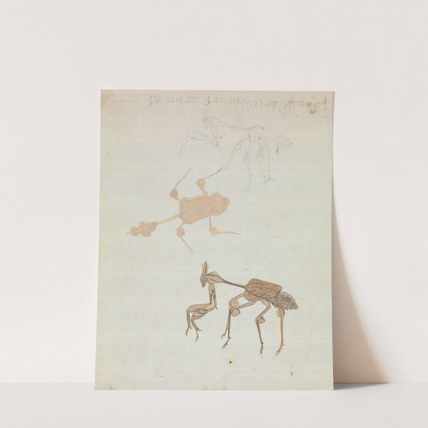 Praying Mantis by Gangaram Chintaman Tambat