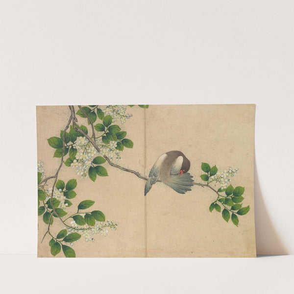 Preening Bird by Zhang Ruoai