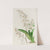 Pretty Oncidium by Sydenham Edwards