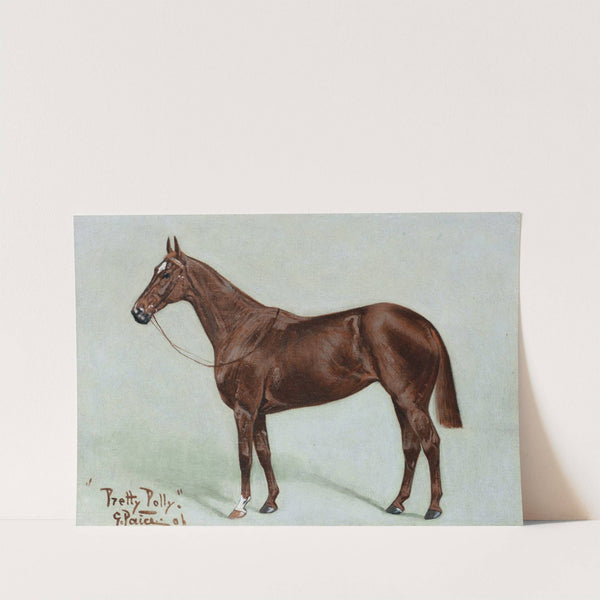 Pretty Polly by George Paice