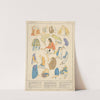 Primitive Races - Sleeves by Paul Louis de Giafferri