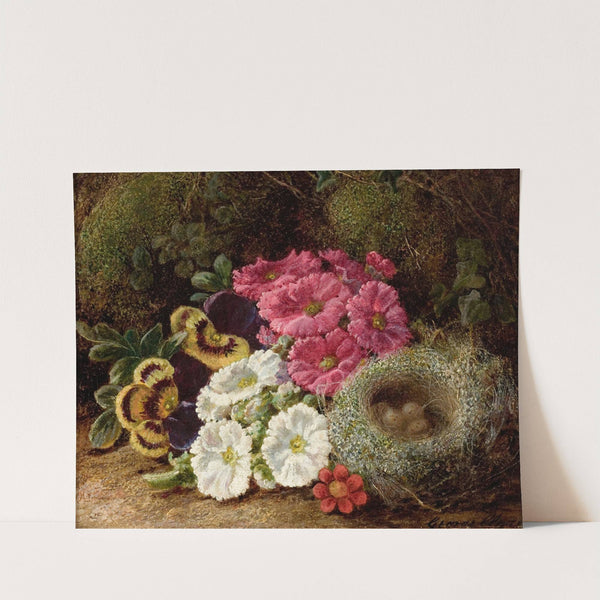 Primulas and a Bird's Nest on a Mossy Bank by George Clare