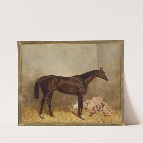 Prince Charlie by Harald R Hall