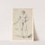 Principe (anatomie masculine) (1777-1825) by Jean Jacques Lequeu