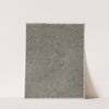 Printed Cotton by George Loughridge