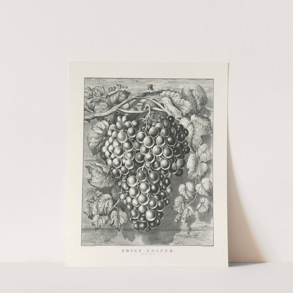Prize grapes; a four pound bunch (1865) by Currier & Ives.