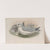 Procellaria glacialis. Fulmar. (1862-1873) by John Gould