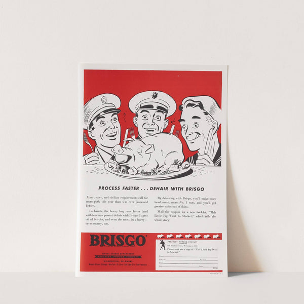 Process Faster...Dehair with Brisgo by Hercules Incorporated