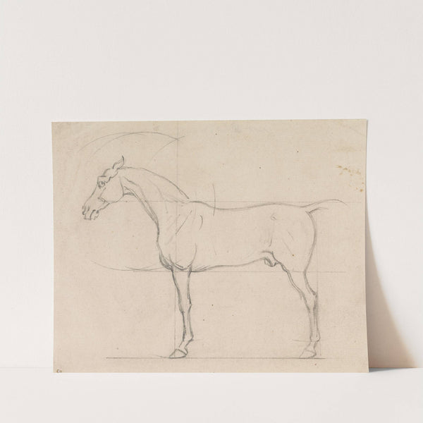 Profile of a Horse Facing Left by James Seymour