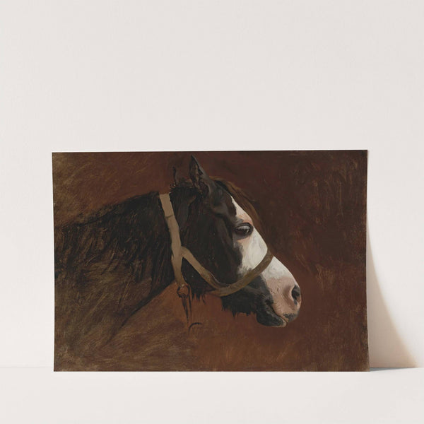 Profile Of A Horse by Jean-Léon Gérôme