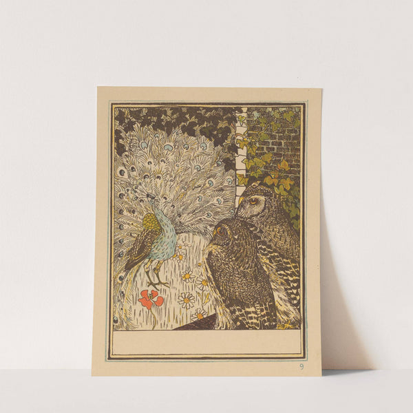 Pronkende pauw en twee uilen by Theo van Hoytema