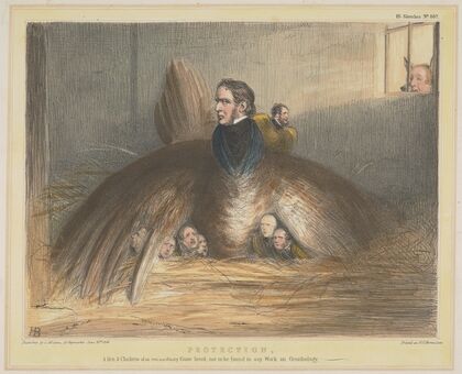 Protection, A Hen and Chickens of an Extraordinary Game Breed, Not to be Found in any work on Ornithology — size preview