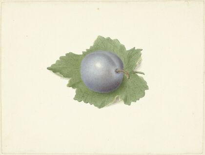 Pruim op een blad — size preview