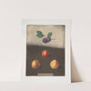 Prune, Common and White damson, and the White imperatrice plums. (1812) by George Brookshaw