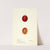 Prunus domestica: Truro by Deborah Griscom Passmore