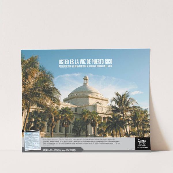 Puerto Rico Political Representation Poster (2010) by Bureau of the Census