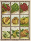 Pumpkin (1921)