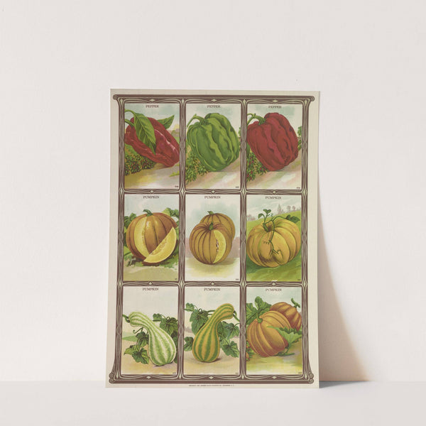 Pumpkin (1921) by Genesee Valley Lithograph Co.