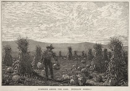 Pumpkins Among the Corn (1878)