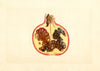 Punica granatum: Alternaria