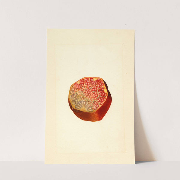 Punica granatum: Wonderful by James Marion Shull