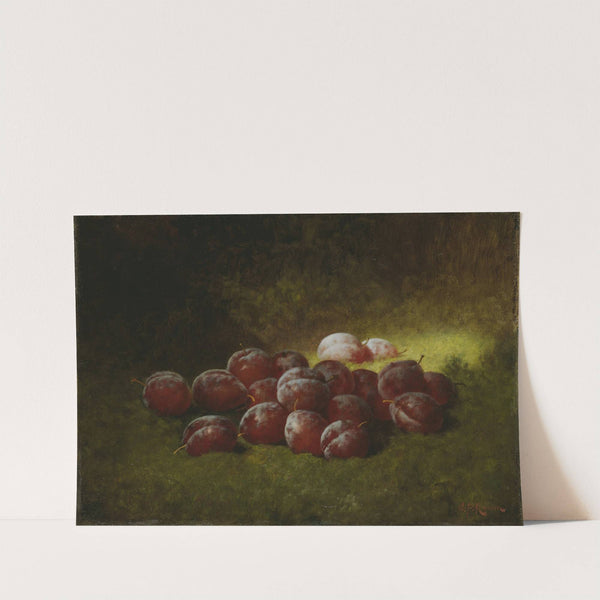 Purple Plums by Carducius Plantagenet Ream