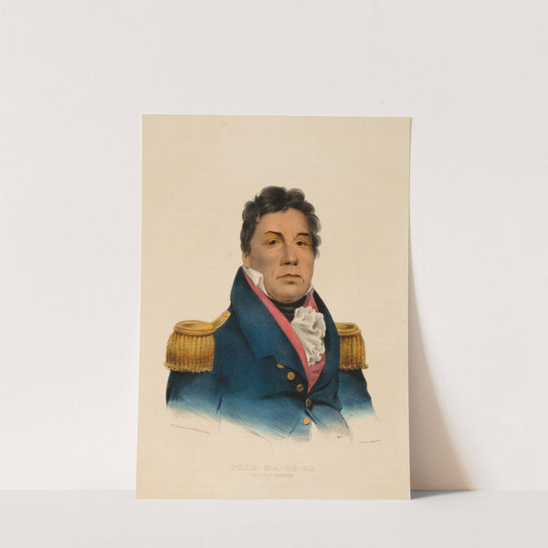 Push-Ma-Ta-Ha. Chactan Warrior (ca. 1837-1844) by Charles Bird King