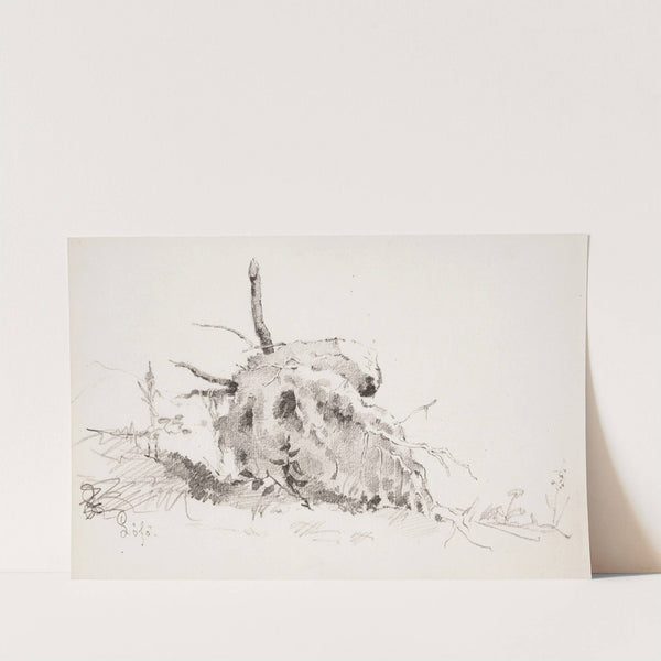 Puun juurakko by Helene Schjerfbeck