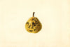 Pyrus communis