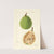 Pyrus communis: Le Conte by Bertha Heiges