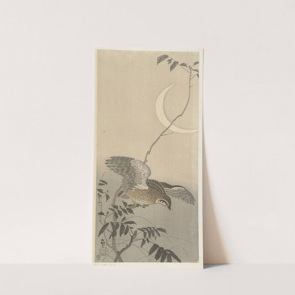 Quail at sickle moon (1900 - 1930) by Ohara Koson