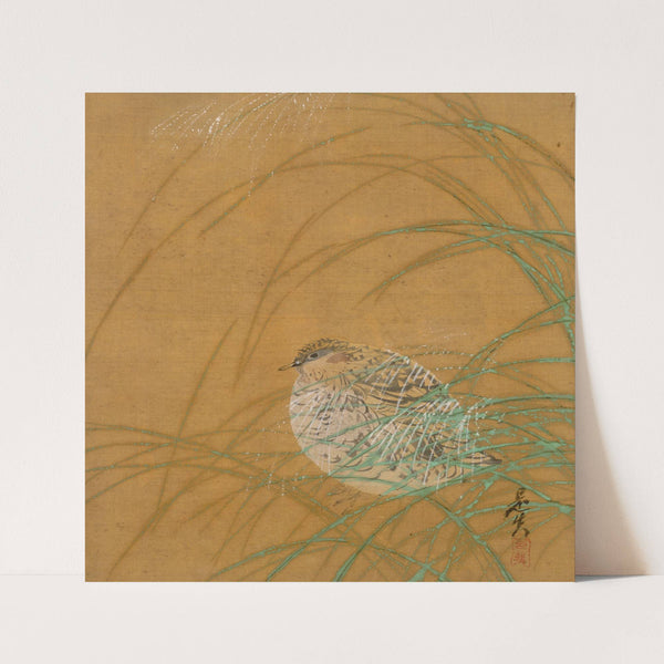 Quail in Grass (1847) by Shibata Zeshin