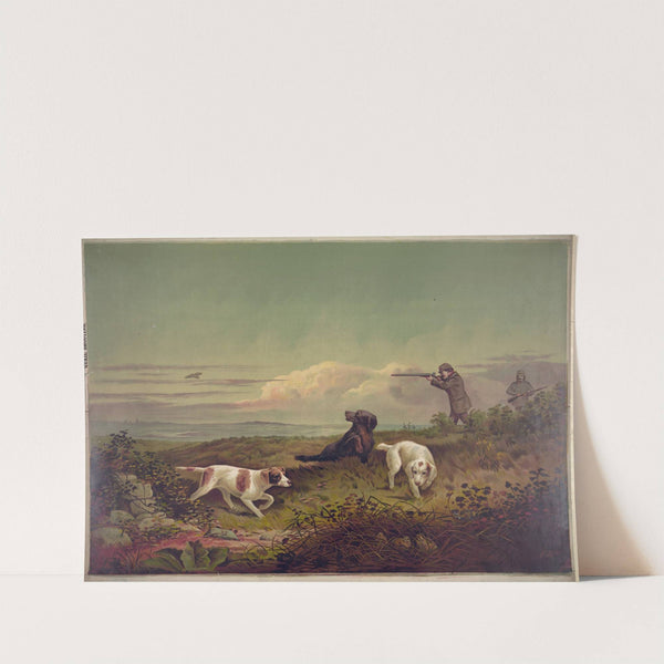 Quail shooting (1879) by Gibson & Co. Lith