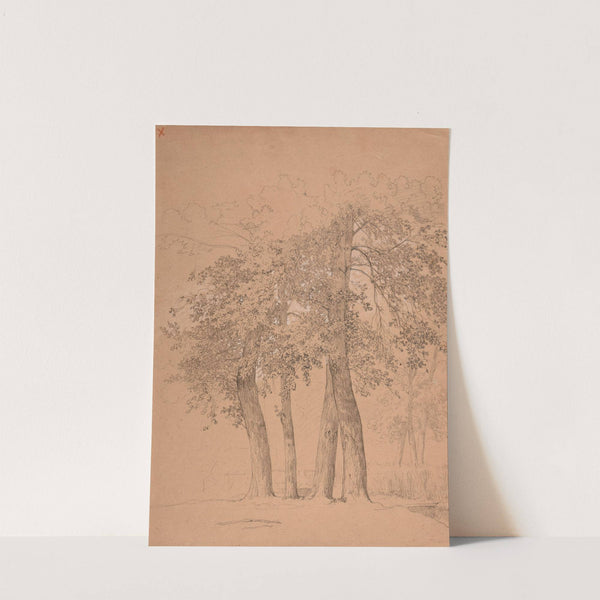 Quatre arbres by Jacques-Raymond Brascassat