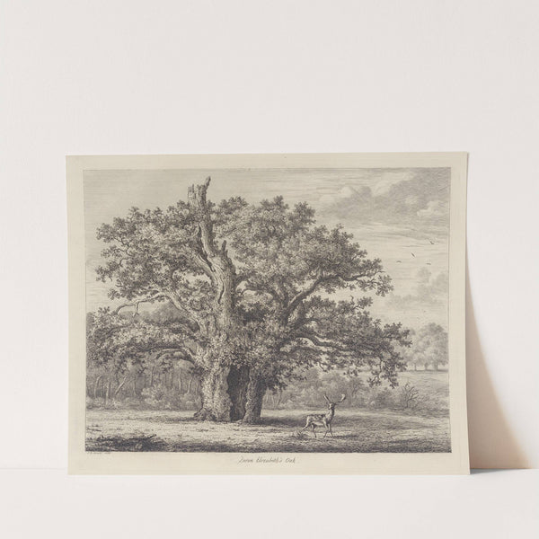 Queen Elizabeth’s Oak by Jacob George Strutt