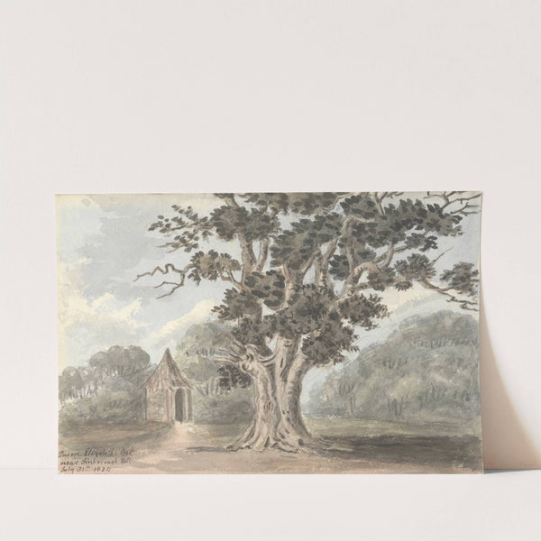 Queen Elizabeth's Oak near Finborough Hall July 31, 1824 by Anne Rushout