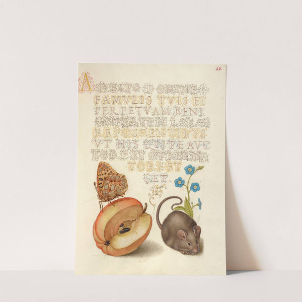 Queen of Spain Fritillary, Apple, Mouse, and Creeping Forget-Me-Not (1561–1596) by Joris Hoefnagel