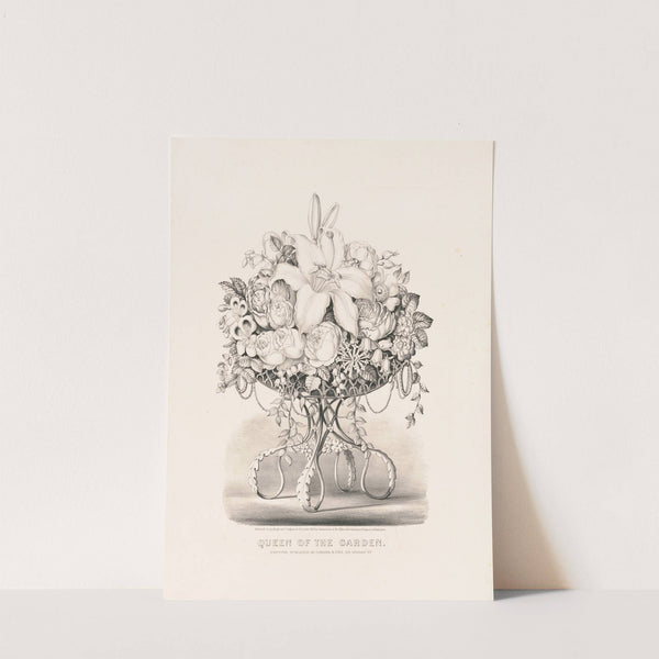 Queen of the garden (1873) by Currier & Ives.