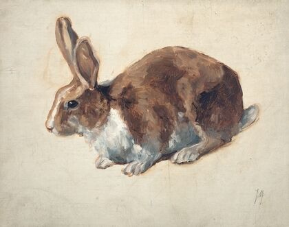 Rabbit