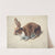 Rabbit (1879) by Floris Verster